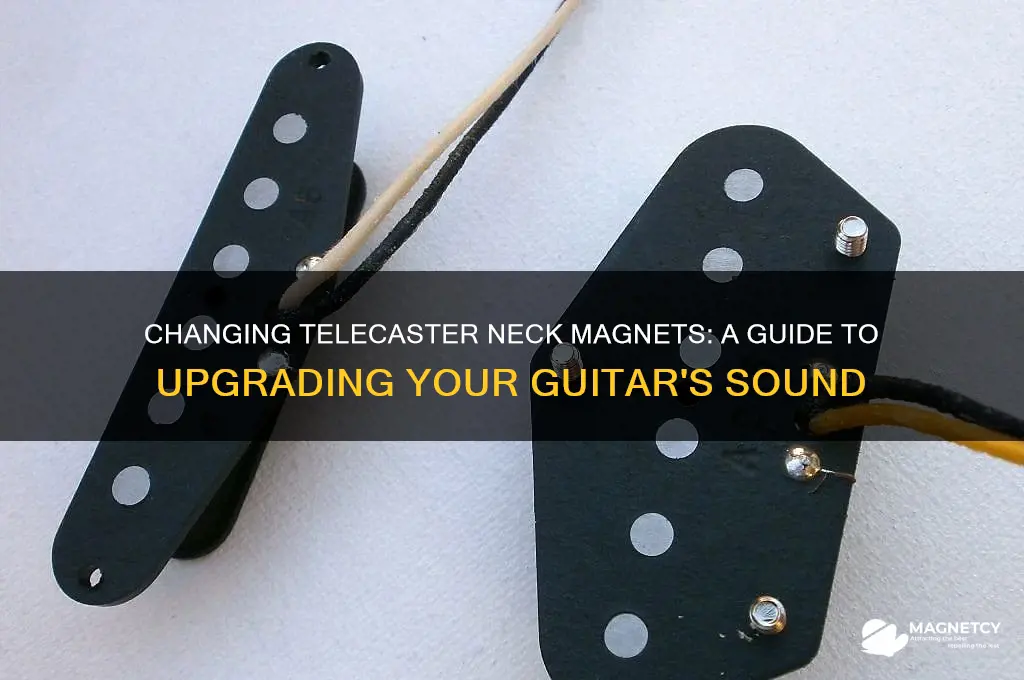 can telecaster neck magnets be changed