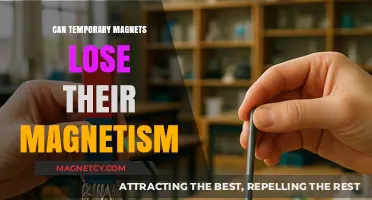 Do Temporary Magnets Lose Their Magnetism Over Time?