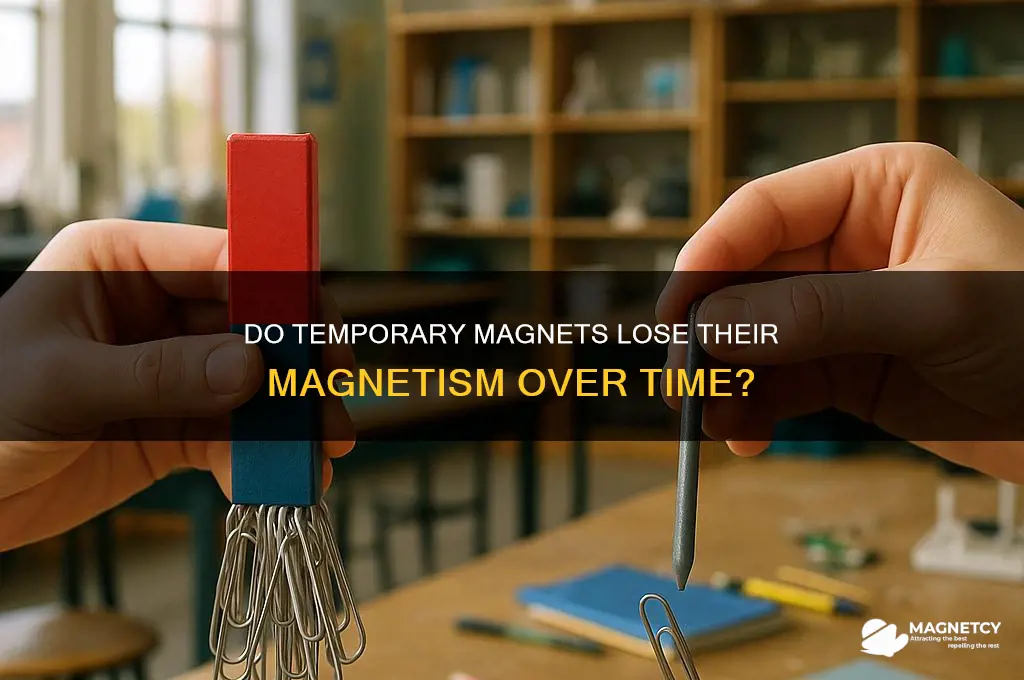 can temporary magnets lose their magnetism