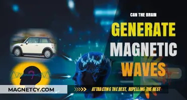 Exploring the Brain's Ability to Produce Magnetic Waves: Fact or Fiction?