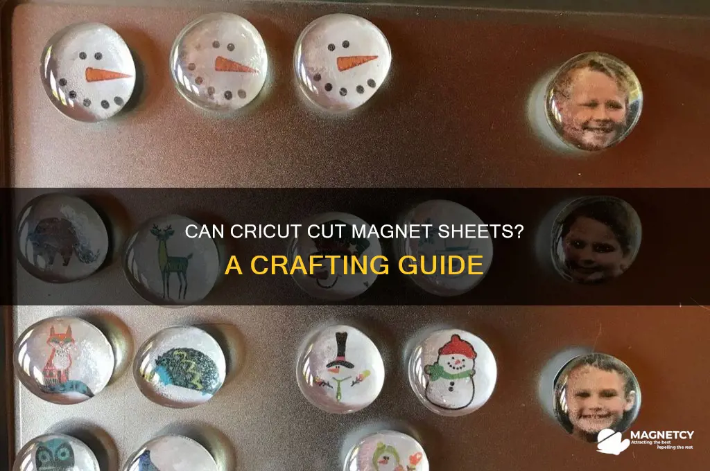 can the cricut cut magnet sheets