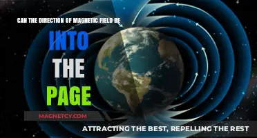 Magnetic Field Direction: Can It Point Into the Page?