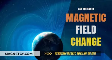 Earth's Magnetic Field: Shifting Poles and Global Implications Explored