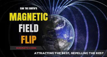 Earth's Magnetic Field Flip: Myth, Reality, or Impending Event?