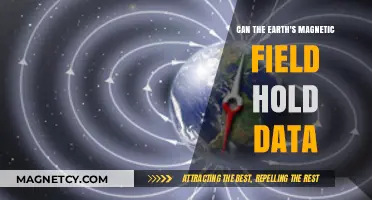 Earth's Magnetic Field: A Potential Data Storage Revolution?