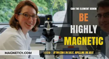 Xenon's Magnetic Potential: Unveiling Its Surprising Electromagnetic Properties