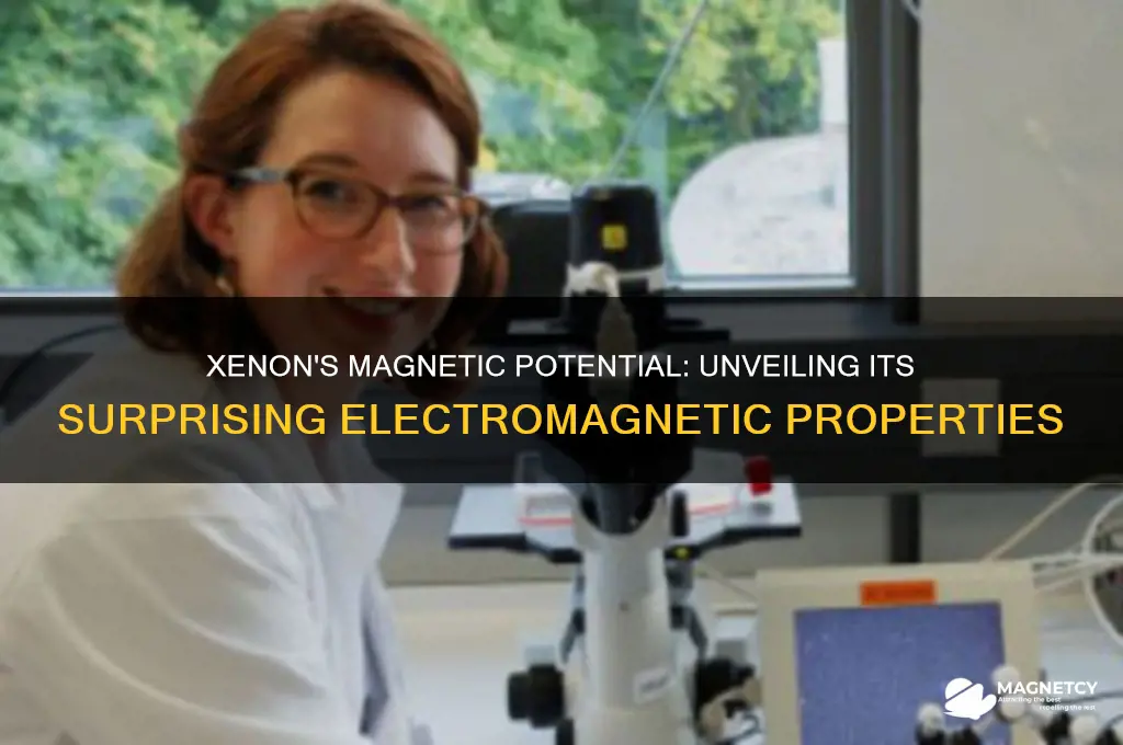 can the element xenon be highly magnetic