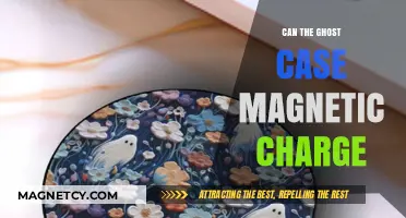 Exploring the Ghost Case: Magnetic Charge Possibilities and Scientific Insights