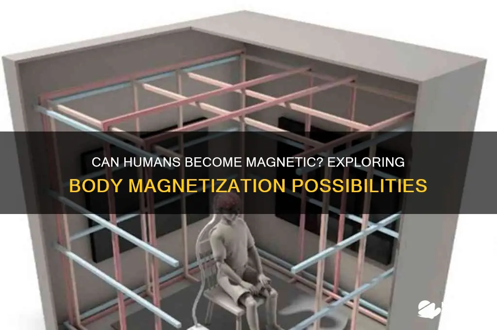 can the human body be magnetized