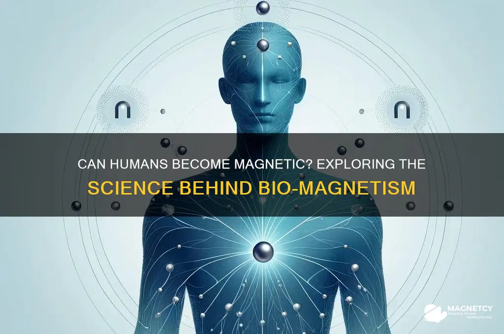 can the human body become magnetic