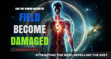 Can Human Magnetic Fields Be Damaged? Exploring Risks and Protection