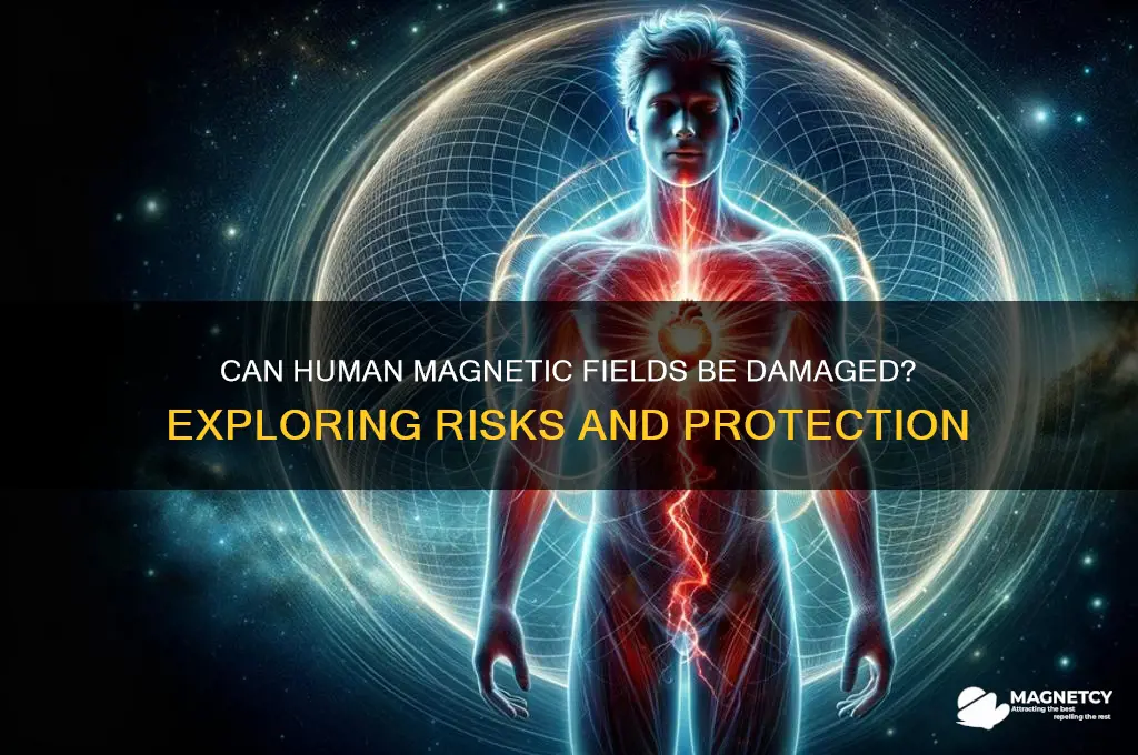 can the human magnetic field become damaged