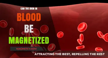 Can Blood Iron Be Magnetized? Exploring the Science Behind It