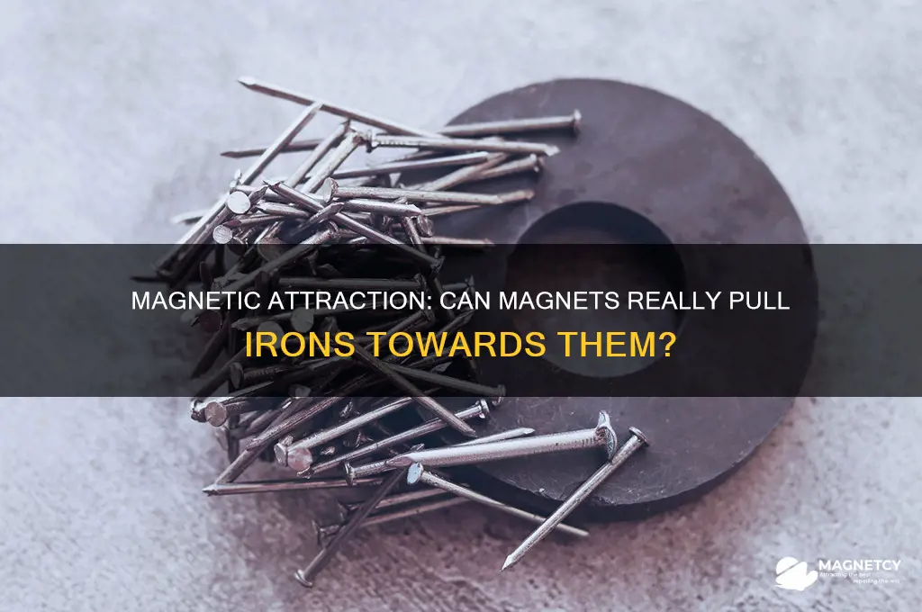 can the magnet attract the irons