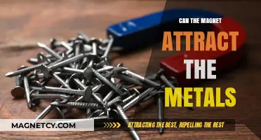 Magnetic Attraction: Exploring Metals Drawn to Magnets' Pull