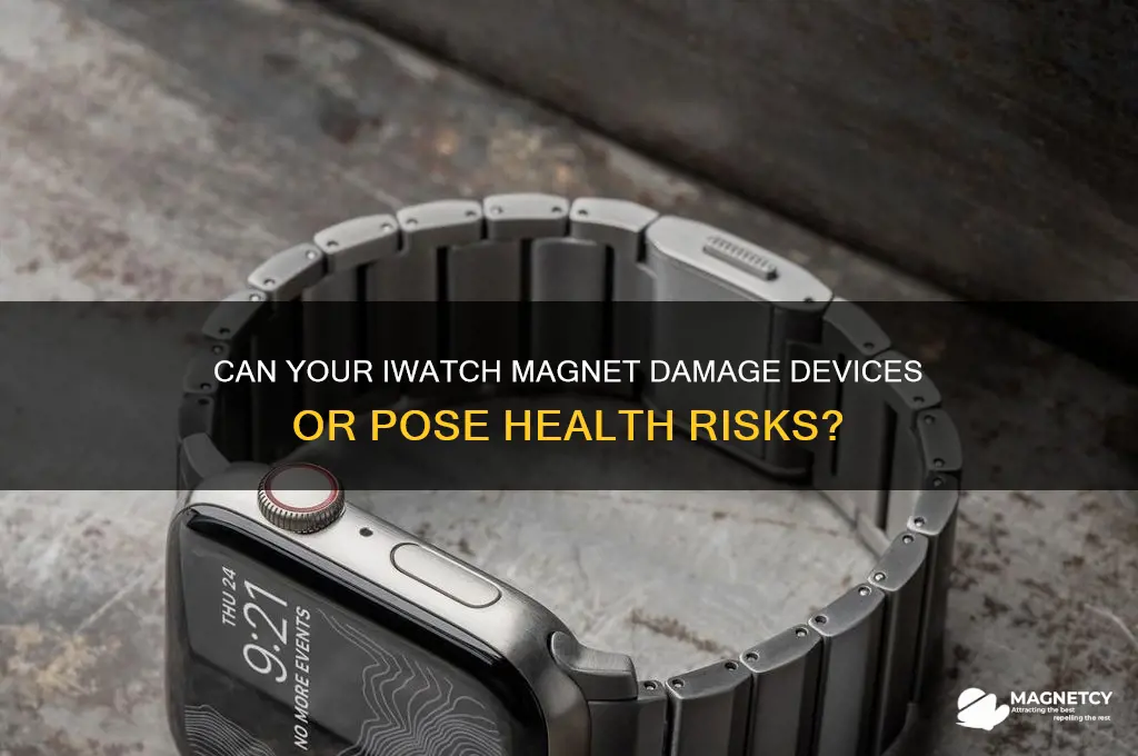 can the magnet from my iwatch hurt anything