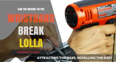 Can Wristband Magnets Damage Lollapalooza Devices? Facts and Myths