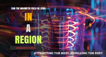 Exploring Magnetic Fields: Can Zero-Field Regions Exist in Space?