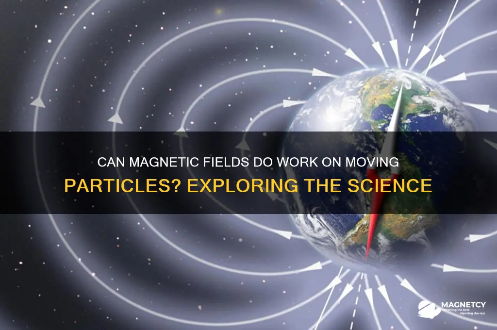 can the magnetic field do work on a moving partical