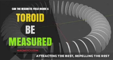 Measuring the Magnetic Field Inside a Toroid: Techniques and Challenges