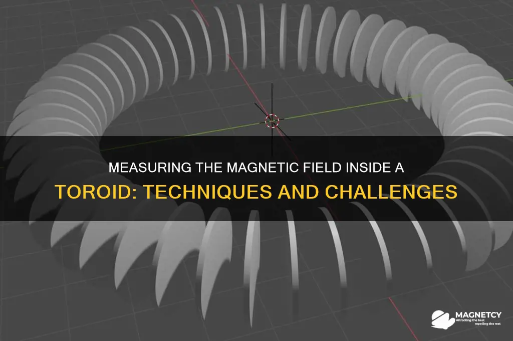 can the magnetic field inside a toroid be measured