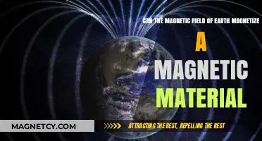 Earth's Magnetic Field: Can It Magnetize Materials Naturally?