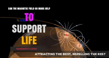 Mars' Magnetic Field: A Potential Lifeline for Extraterrestrial Life?