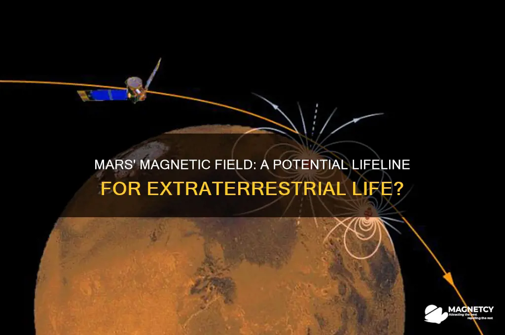can the magnetic field on mars help to support life