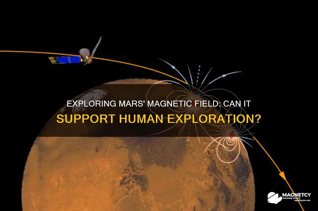 can the magnetic field on mars heo