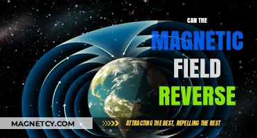 Earth's Magnetic Field Reversal: What It Means and How It Happens