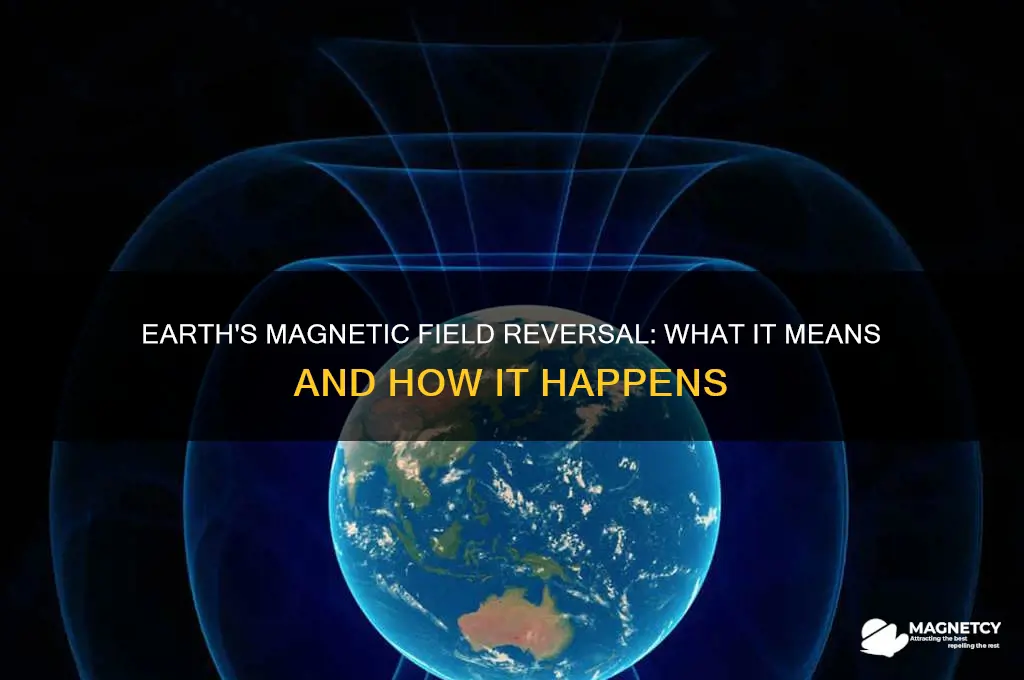 can the magnetic field reverse