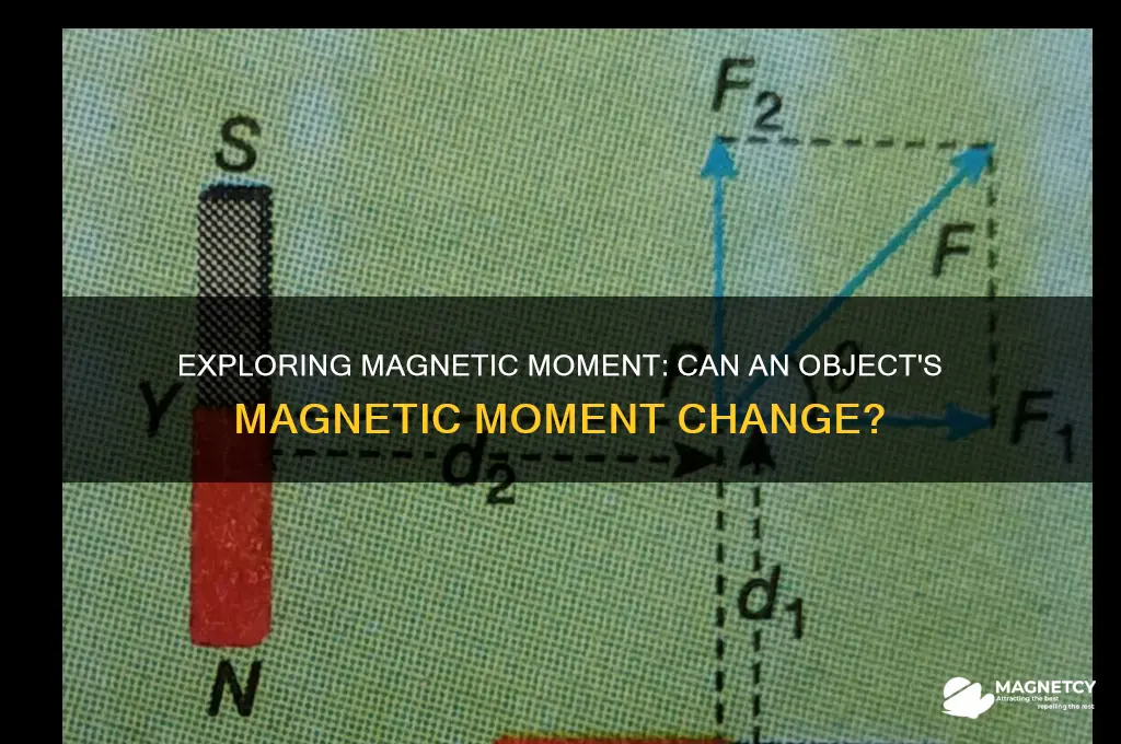 can the magnetic moment of an obj9ect change