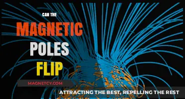 Earth's Magnetic Poles: Could a Flip Change Our World?