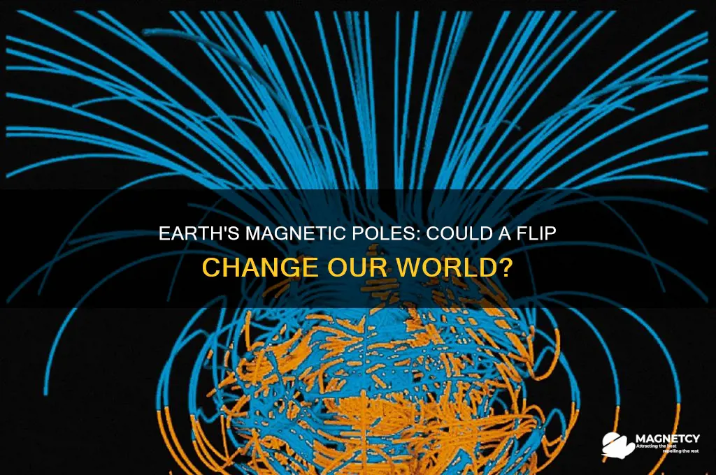 can the magnetic poles flip