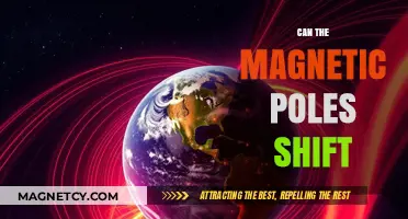 Exploring the Possibility of Magnetic Pole Shifts: What We Know