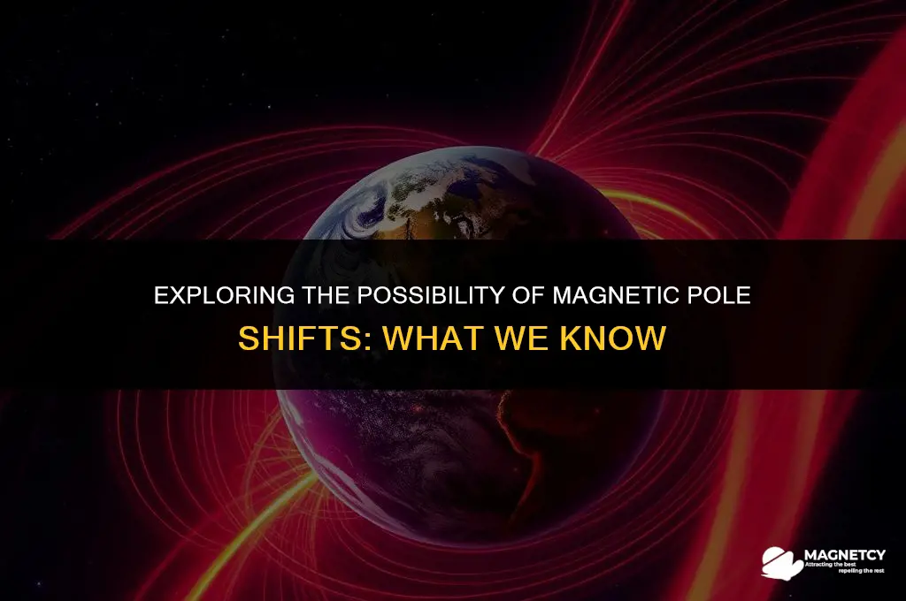 can the magnetic poles shift