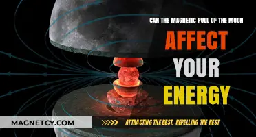 Lunar Magnetism: Unveiling the Moon's Influence on Your Energy Levels