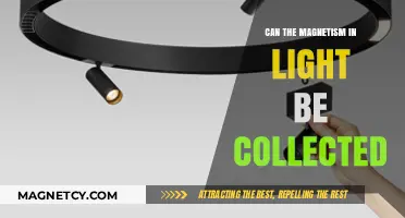 Exploring the Frontiers of Light: Can Magnetism Be Harnessed?