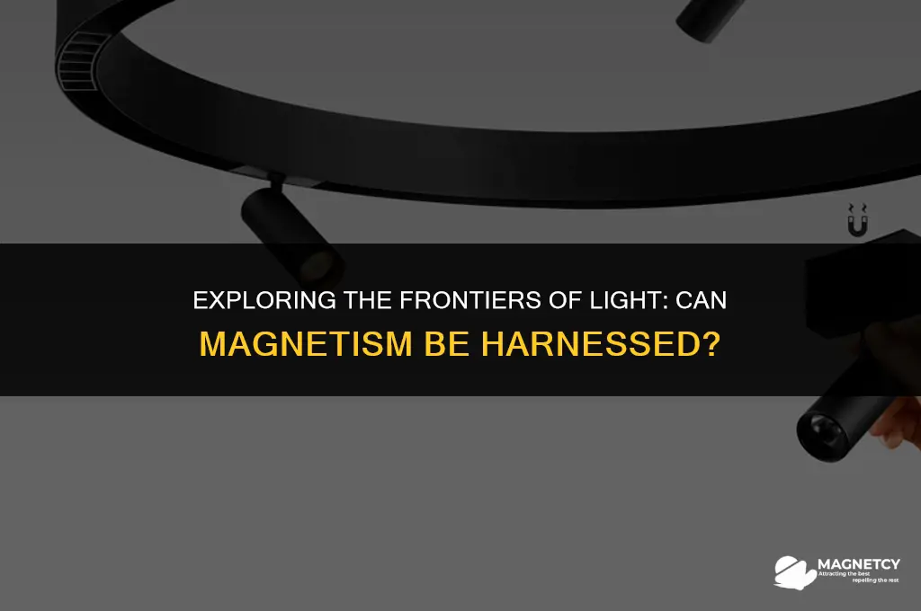 can the magnetism in light be collected