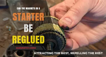 Reviving Your Starter: The Surprising Truth About Regluing Magnets