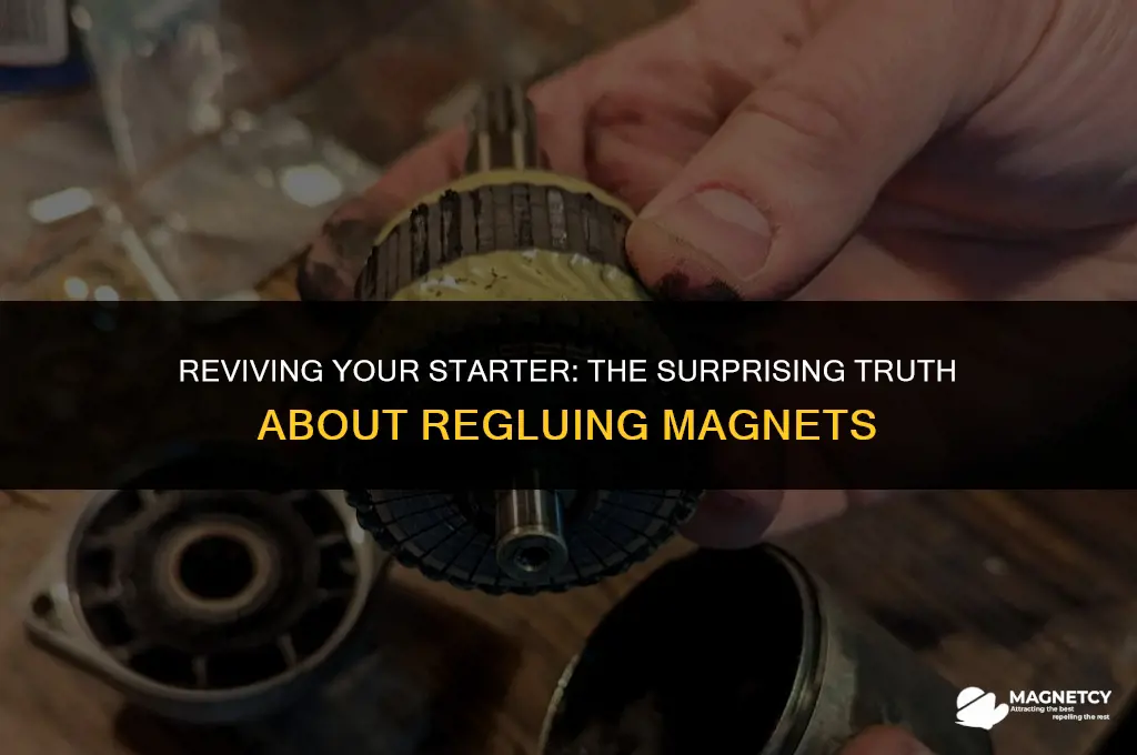 can the magnets in a starter be reglued