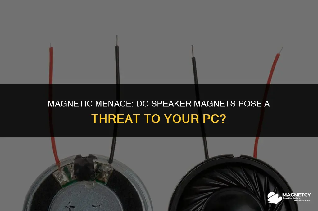 can the magnets in speakers hurt my pc