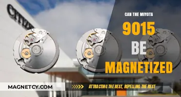 Exploring the Magnetic Resilience of the Miyota 9015 Movement