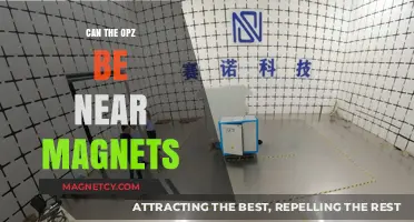 Exploring the Compatibility of OPZ Devices with Magnetic Fields