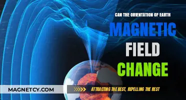 Exploring the Dynamics of Earth's Magnetic Field Orientation