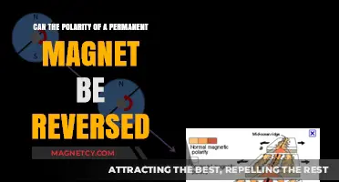 Exploring the Limits: Can a Permanent Magnet's Polarity Be Reversed?