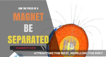 Exploring the Indivisible Nature of Magnetic Poles
