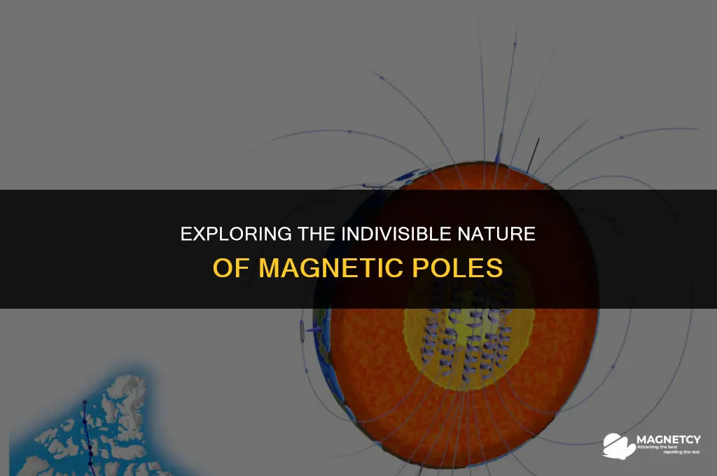 can the poles of a magnet be separated