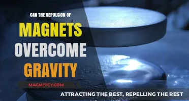 Defying Gravity: The Surprising Power of Magnetic Repulsion