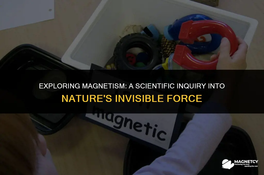 can the scientific method be applied to study magnetism